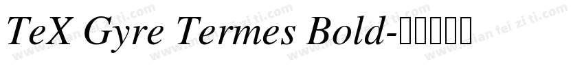 TeX Gyre Termes Bold字体转换